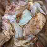 Raw-Seasoned-Chicken-in-mixing-bowl-view-1-150x150-1-1