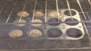 Baking buttermilk cornbread muffins in oven