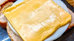 cheese