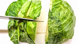 cut food