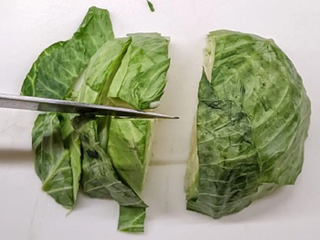 Cutting head of cabbage for cooking cutting cabbage for Southern cooked cabbage recipe