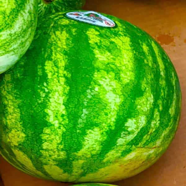 darker stripes for how to pick a good watermelon chart