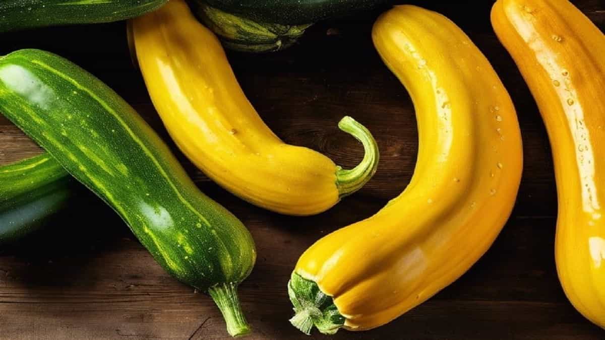 difference between zucchini and yellow squash