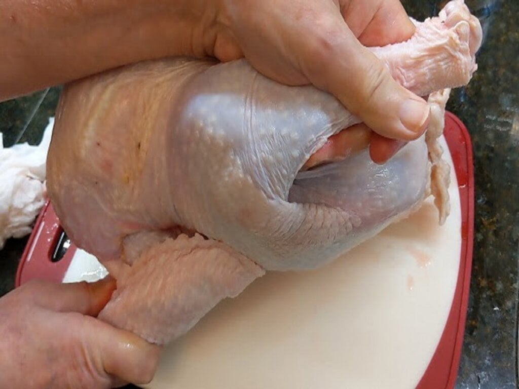 how to roast a turkey in the oven by folding wings under turkey