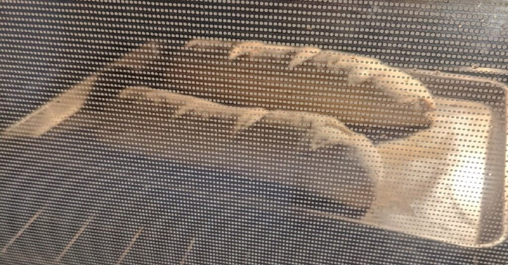 french bread loaves baking in oven