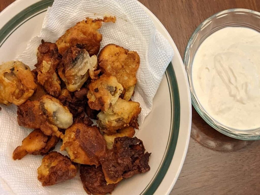 homemade fried mushrooms on paper towel in serving bowl with dip