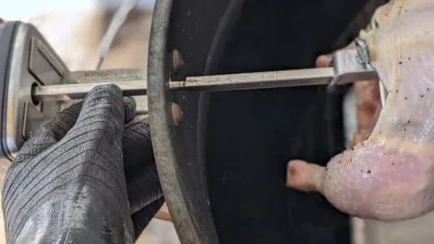 insert loaded rotisserie rod through ring into motor port