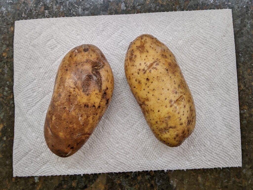 Oiled and punctured potatoes ready for oven baking