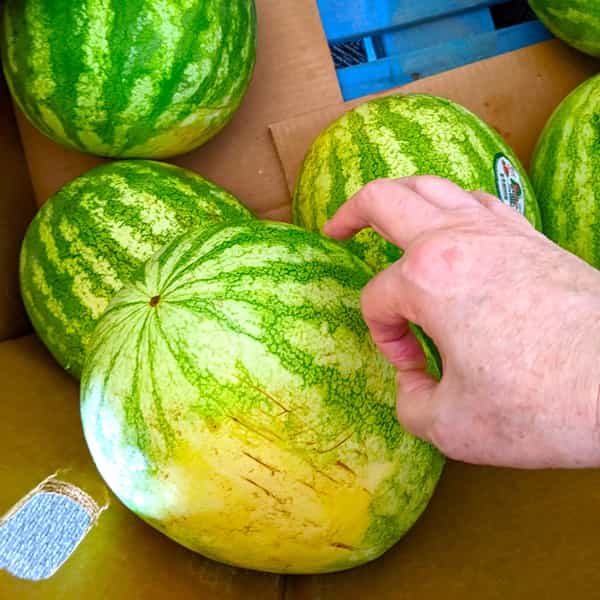 Plunking Sound Test for How to Pick a Good Watermelon Chart