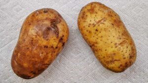 potatoes