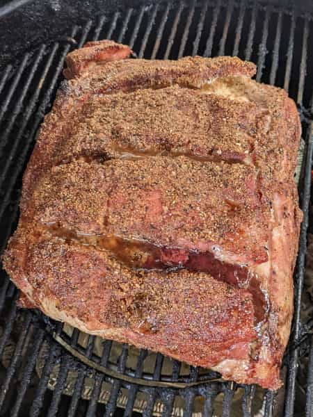 pulled pork on grill fat side down starting to cook