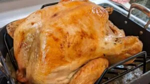 recipe to oven roast a turkey
