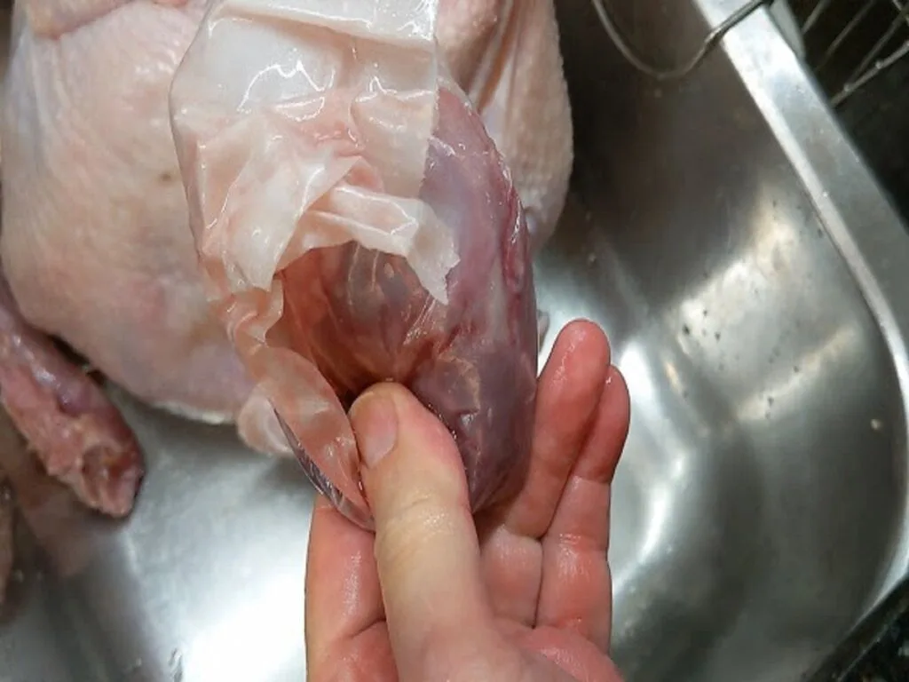 remove giblets from turkey cavity demonstration
