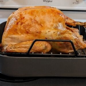 roast turkey in oven recipe