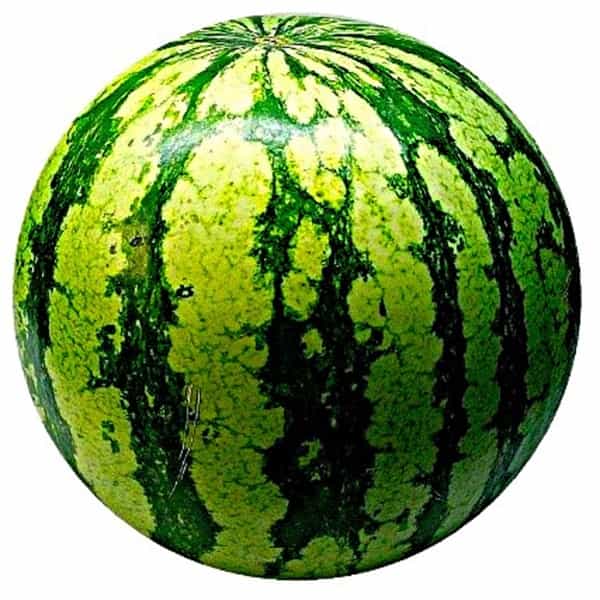 round watermelons for how to pick a good watermelon chart