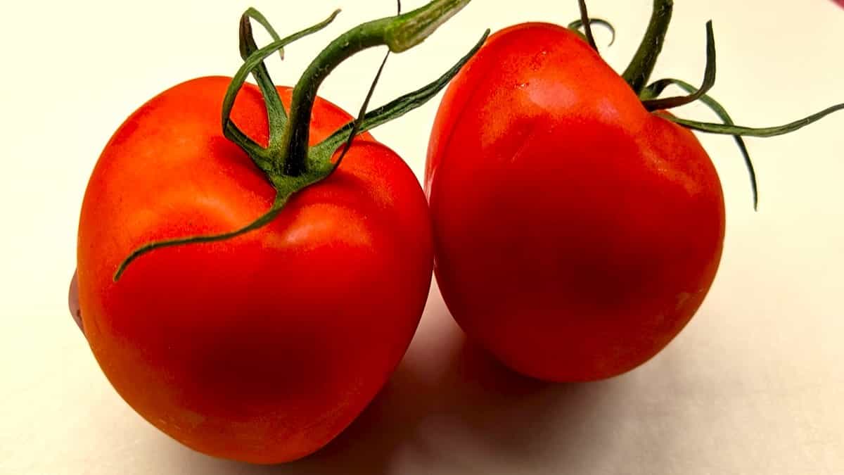 should tomatoes be refrigerated