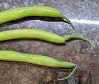 tips-fm-green-beans-needing-removal-200x170-1-2